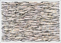 N. 17-028